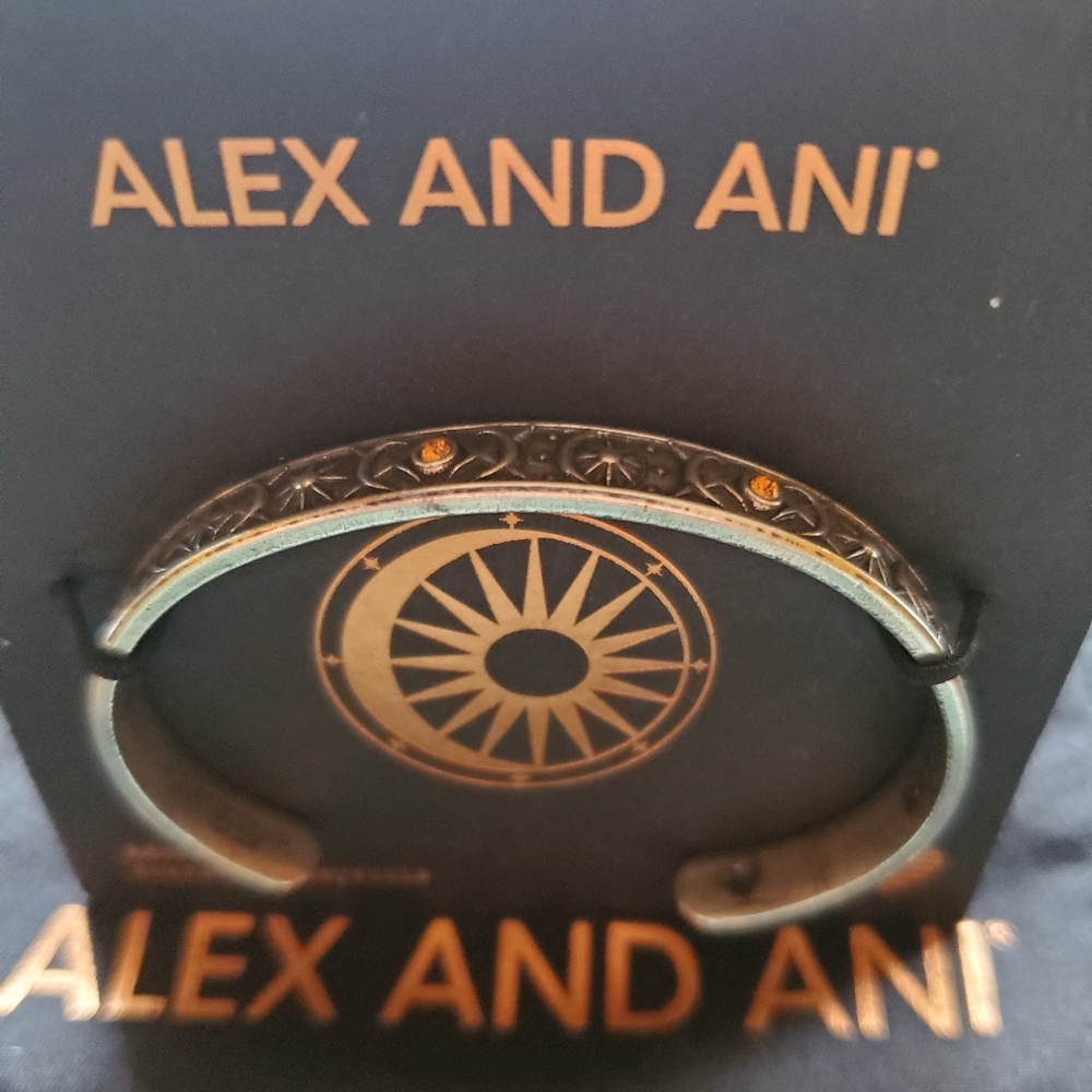 Alex And Ani Cosmic Balance Cuff